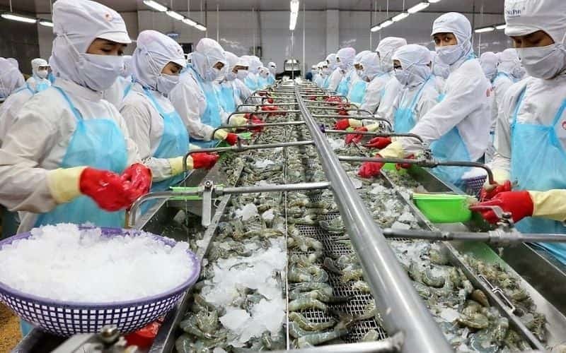 Tạp dề với chất liệu chống nước là sự lựa chọn trong ngành công nghiệp thực phẩm