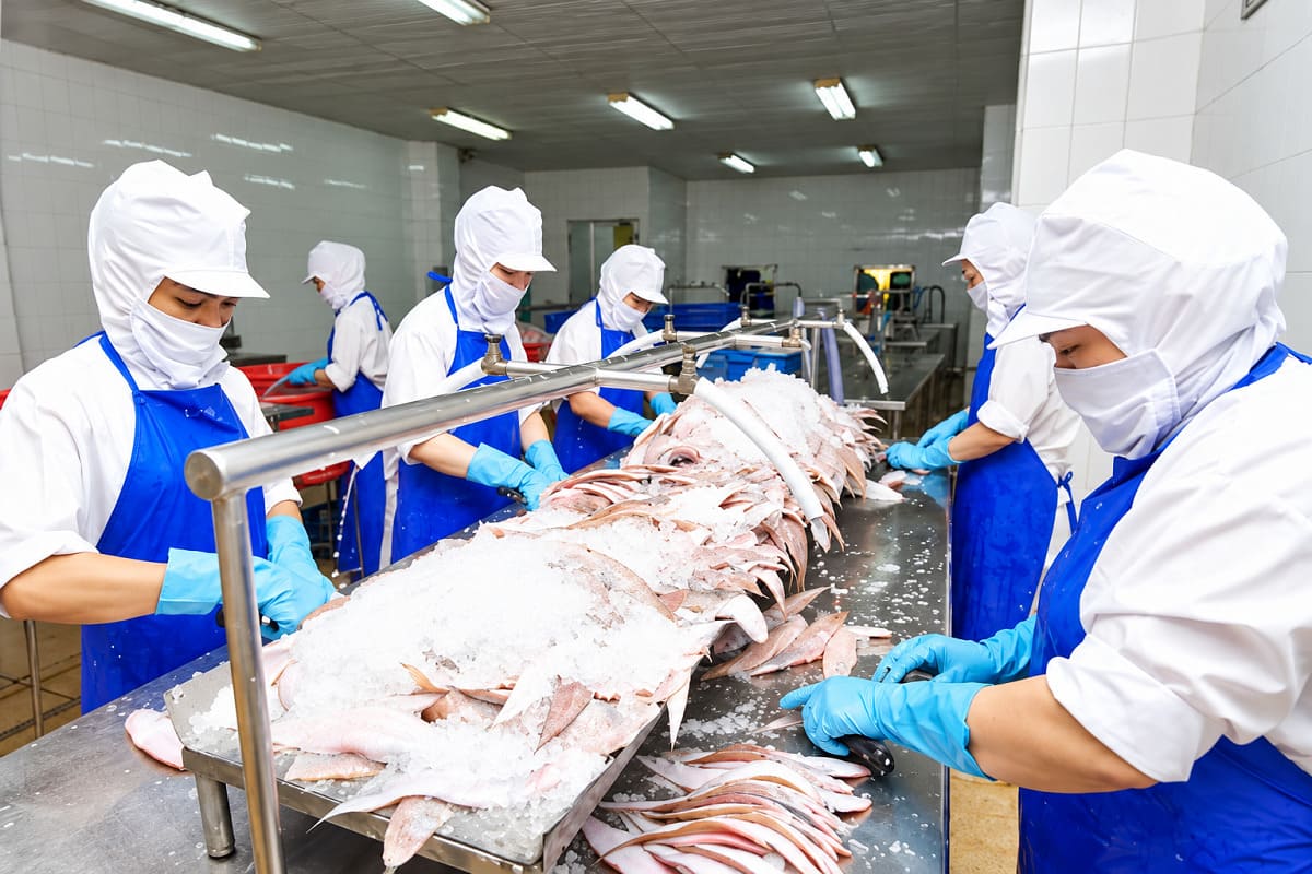 Đồng phục chế biến thủy hải sản nên ưu tiên tạp dề chống thấm 