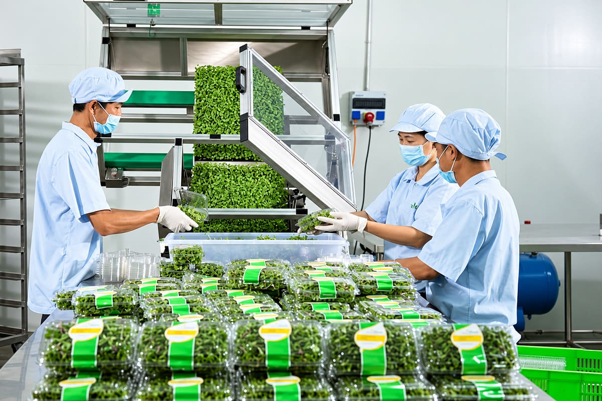 Đồng phục khu đóng gói nên ưu tiên áo quần có độ thoáng khí tốt