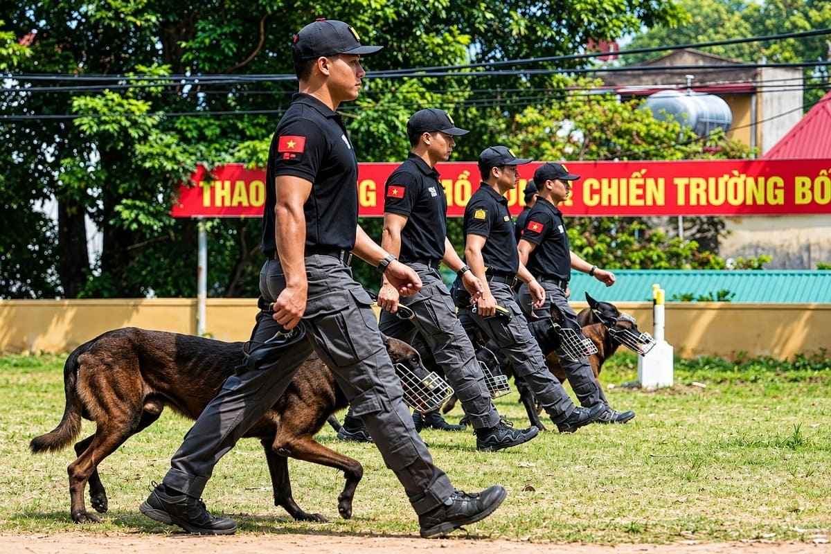 Trang phục huấn luyện động vật nghiệp vụ bền bỉ, linh hoạt khi vận động 